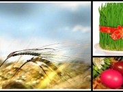 Kəndimizin “Novruz”u yelcersenbesi